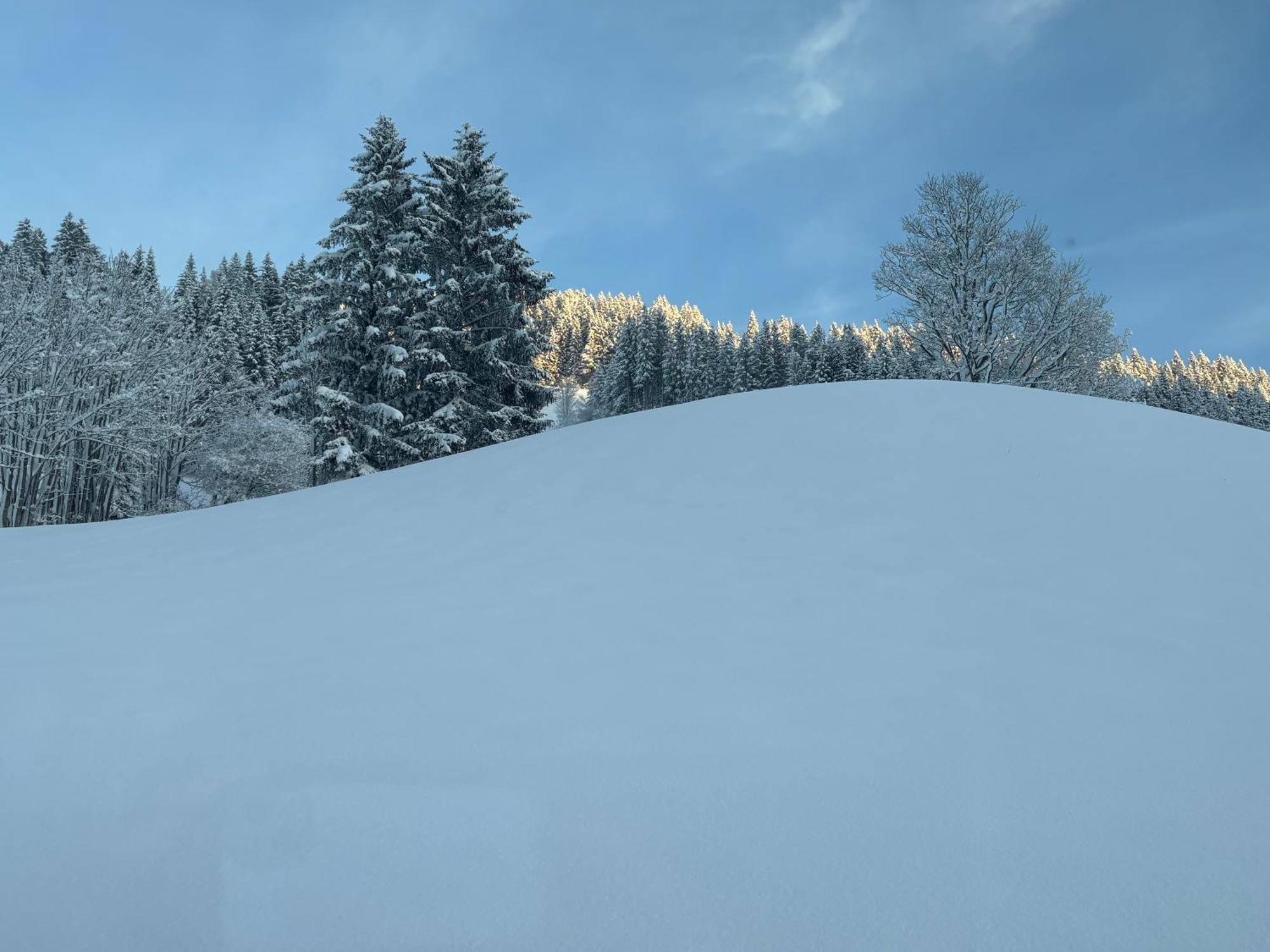 Grossbergblick Filzmoos Exterior foto